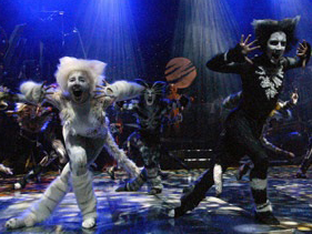 Cats